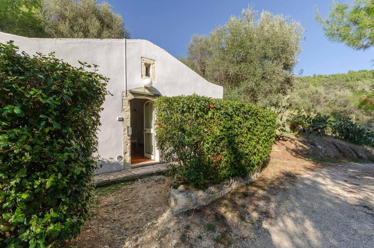 Agriturismo Madonna Incoronata มัตตีนาตา ภายนอก รูปภาพ